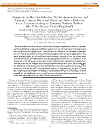 Changes in Benthic Denitrification, Nitrate Ammonification, And