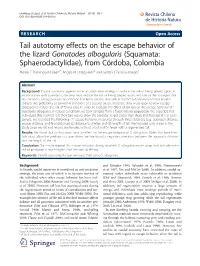 Tail Autotomy Effects on the Escape Behavior of the Lizard Gonatodes Albogularis (Squamata: Sphaerodactylidae), from C Rdoba