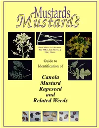 Canola Mustard Rapeseed and Related Weeds In