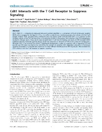 Cd81 Interacts with the T Cell Receptor to Suppress Signaling