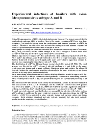 Experimental Infections of Broilers with Avian Metapneumovirus Subtype a and B