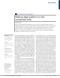Making Digit Patterns in the Vertebrate Limb