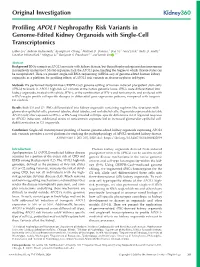 Profiling APOL1 Nephropathy Risk Variants in Genome-Edited Kidney