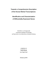 Towards a Comprehensive Description of the Human Retinal Transcriptome