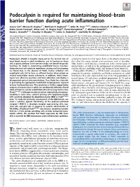 Podocalyxin Is Required for Maintaining Blood–Brain Barrier Function During Acute Inflammation