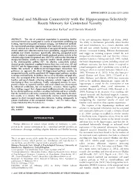Striatal and Midbrain Connectivity with the Hippocampus Selectively Boosts Memory for Contextual Novelty