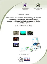 082.Informe Final GAP-Chile 2010-03-25.Pdf