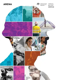 Arena Annual Report 2019-20 3 Overview