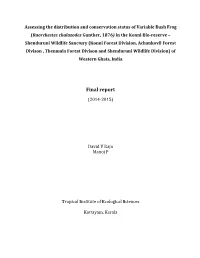 Final Report