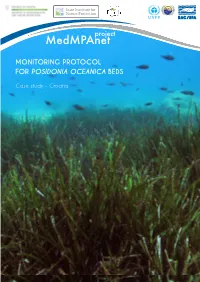 Monitoring Protocol for Posidonia Oceanica Beds