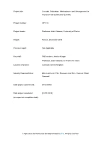 Project Title: Cucurbit Pollination: Mechanisms and Management to Improve Field Quality and Quantity