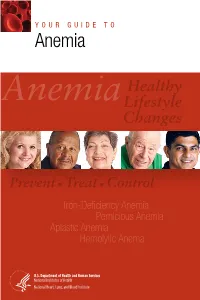 Your Guide to Anemia
