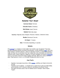 Hamster Fact Sheet