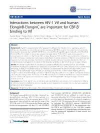 Interactions Between HIV-1 Vif and Human Elonginb-Elonginc Are Important for CBF-Β Binding To