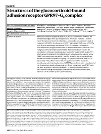 Structures of the Glucocorticoid-Bound Adhesion Receptor GPR97–Go Complex