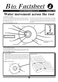 Water Movement Across the Root 1
