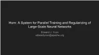 Horn: a System for Parallel Training and Regularizing of Large-Scale Neural Networks