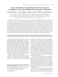 Large-Scale Patterns in Morphological Diversity and Species Assemblages in Neotropical Triatominae (Heteroptera: Reduviidae)