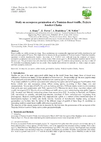 Study on Ascospores Germination of a Tunisian Desert Truffle, Terfezia Boudieri Chatin