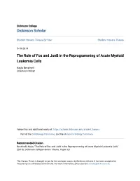 The Role of Fos and Junb in the Reprogramming of Acute Myeloid Leukemia Cells