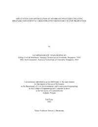 APPLICATION and OPTIMIZATION of MEMBRANE PROCESSES TREATING BRACKISH and SURFICIAL GROUNDWATER for POTABLE WATER PRODUCTION by J