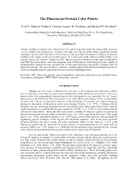 Internet-Based Education on the Structure, Function, and Imaging Of