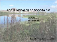 Presentación De Powerpoint