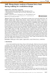 Biomechanics Analysis of Human Lower Limb During Walking for Exoskeleton Design