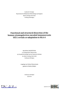 Functional and Structural Dissection of the Human Cytomegalovirus Encoded Immunoevasin US11 Reveals Co-Adaptation to HLA-A