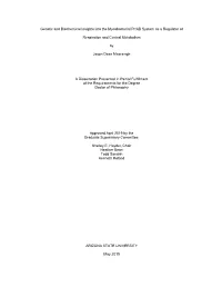 Genetic and Biochemical Insights Into the Mycobacterial Prrab System As a Regulator Of