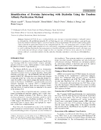 Identification of Proteins Interacting with Dysferlin Using the Tandem Affinity Purification Method