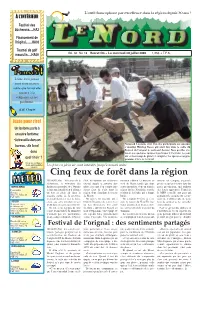 Cinq Feux De Forêt Dans La Région