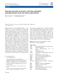 Emerging Therapies in Primary Sclerosing Cholangitis: Pathophysiological Basis and Clinical Opportunities