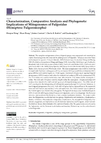 Characterization, Comparative Analysis and Phylogenetic Implications of Mitogenomes of Fulgoridae (Hemiptera: Fulgoromorpha)