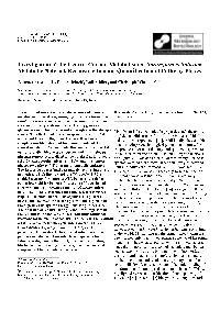 Investigation of the Central Carbon Metabolism of Sorangium Cellulosum: Metabolic Network Reconstruction and Quantification of Pathway Fluxes