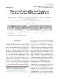 Phylogenetic Analysis of Ruminant Theileria Spp. from China Based on 28S Ribosomal RNA Gene
