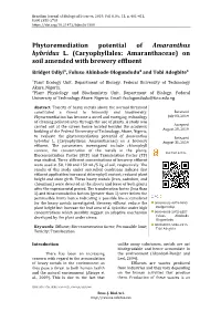 Phytoremediation Potential of Amaranthus Hybridus L. (Caryophyllales: Amaranthaceae) on Soil Amended with Brewery Effluent