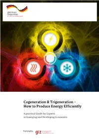 Cogeneration & Trigeneration – How to Produce Energy Efficiently