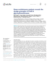Deep Evolutionary Analysis Reveals the Design Principles of Fold A