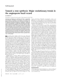 Major Evolutionary Trends in the Angiosperm Fossil Record
