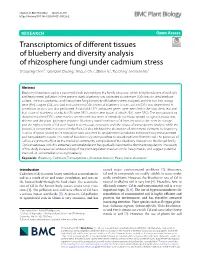 Transcriptomics of Different Tissues of Blueberry and Diversity Analysis Of