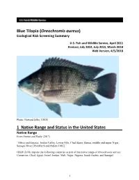 Oreochromis Aureus) Ecological Risk Screening Summary