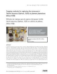 Trapping Methods for Capturing the Screwworm Telchin Atymnius