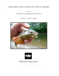 Lower Chehalis River and Surge Plain Fish Use Assessment Report