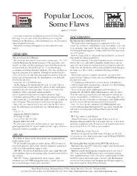 Popular Locos, Some Flaws Updated 1/18/2005