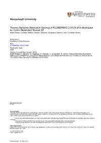 Thermo-Sensitive Alternative Splicing of FLOWERING LOCUS M Is