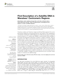 First Description of a Satellite DNA in Manatees' Centromeric Regions