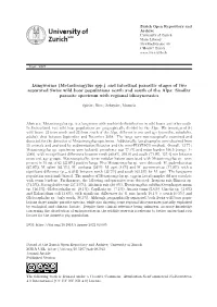 Lungworms (Metastrongylus Spp.)