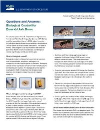 Questions and Answers: Biological Control for Emerald Ash Borer