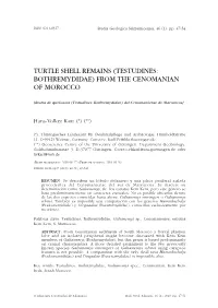 Testudines: Bothremydidae) from the Cenomanian of Morocco